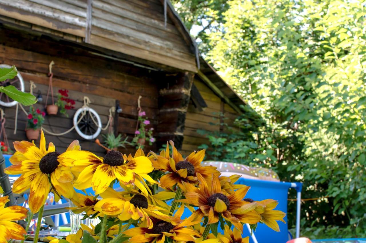 Poziomkowa 5 Villa Щирк Екстериор снимка